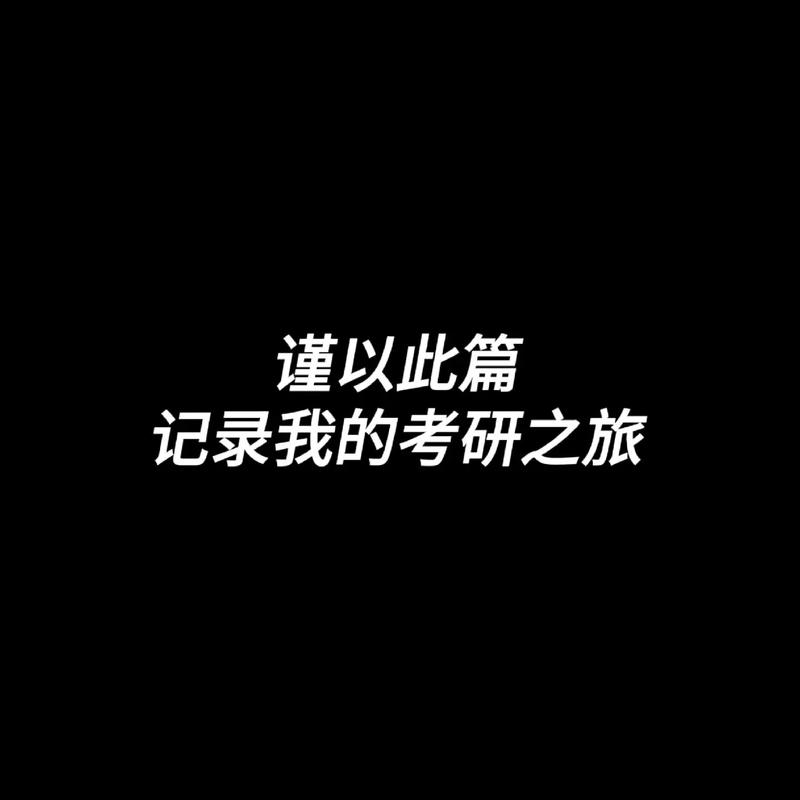 2024年12月19日 第3页