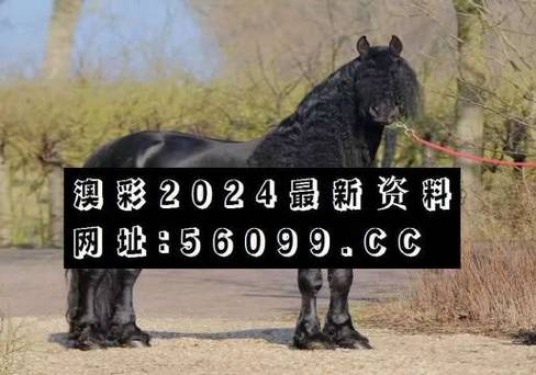 今日科普一下！2022年澳门正版资料大全免费,百科词条爱好_2024最新更新