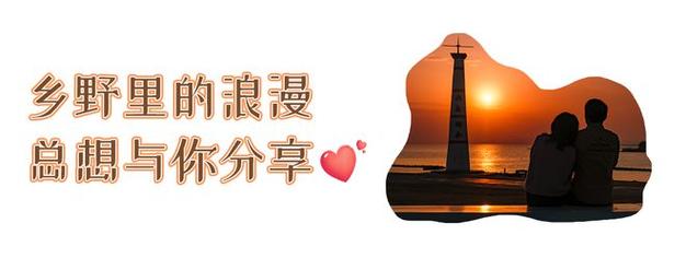 今日科普一下！红色派系：起源,百科词条爱好_2024最新更新